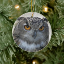 Pesquisar por fotos da coruja ornamentos Animais