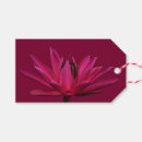 Pesquisar por doação etiquetas de presente Rosa