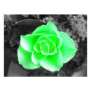 Pesquisar por fundo azul escuro pôsteres Flor