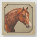 Pesquisar por morgana porta copos Equestre