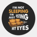 Pesquisar por eu não estou dormindo adesivos Repouso