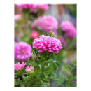 Pesquisar por astro pôsteres Planta