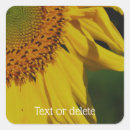 Pesquisar por placa adesivos For her