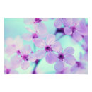 Pesquisar por fotos bonitas natureza artes pôsteres Fotografia floral