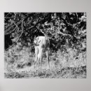 Pesquisar por home office pôsteres Black and white