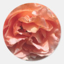 Pesquisar por pink rose adesivos Flor