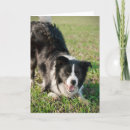 Pesquisar por brincar cartoes Preto