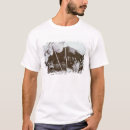 Pesquisar por sherman camisetas Americano