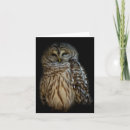 Pesquisar por coruja branca cartoes Branco