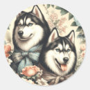 Pesquisar por husky adesivos Cães