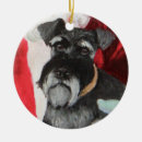 Pesquisar por schnauzer ornamentos Cão