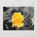 Pesquisar por preto e amarelo cartoes postais Design
