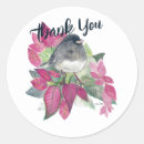 Pesquisar por junco adesivos Aves