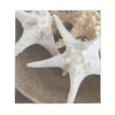 Pesquisar por starfish bloco de notas Concha