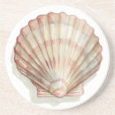Pesquisar por seashells porta copos Oceano