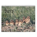 Pesquisar por da coruja calendarios Burrowing