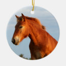 Pesquisar por horse ornamentos Pônei