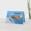 Pesquisar por pelicano branco americano Natureza
