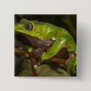 Pesquisar por galho botons Verde