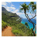 Pesquisar por pali pósteres pôsteres Hawaii