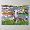 Pesquisar por whippet pôsteres Cães