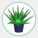 Pesquisar por aloe vera adesivos Planta
