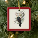 Pesquisar por pomba ornamentos Aves