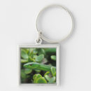 Pesquisar por perigosos chaveiros Animal