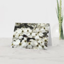 Pesquisar por blank floral cartoes Watercolor