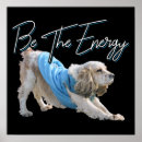 Pesquisar por descendentes pôsteres Malhação