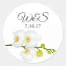 Pesquisar por orquídea branca adesivos Folhagem