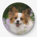 Pesquisar por dog pratos Animal