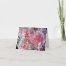 Pesquisar por carnation cartoes Pink