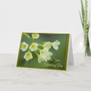 Pesquisar por flores amarelas pequenas cartoes postais Para eles