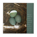 Pesquisar por buddha azulejos Zen