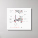 Pesquisar por joelho impressão de canvas Junta