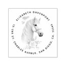 Pesquisar por cabeça cavalo de carimbos Equino