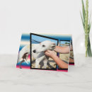 Pesquisar por greyhound cartoes Fofofo