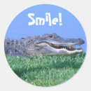 Pesquisar por o jacaré adesivos Répteis