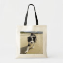 Pesquisar por border collie bolsas Praia