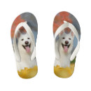 Pesquisar por berger roupas Cão