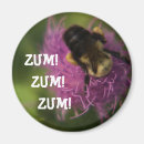 Pesquisar por zumbido imas Inseto
