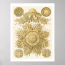 Pesquisar por decorative poster pôsteres Mar
