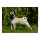 Pesquisar por carlin cartoes postais Olhando a câmera