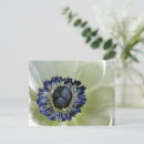 Pesquisar por anêmona branca cartoes postais Natureza