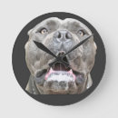 Pesquisar por cane corso pôsteres Cães