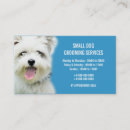 Pesquisar por salas estar padrao de cartao de visita Boss