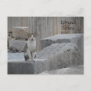 Pesquisar por gatinhos antigos cartoes postais Gato