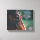Pesquisar por cabeça cavalo de impressão de canvas Animal