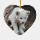 Pesquisar por rei leão ornamentos Leões